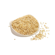 High protein cultivador quinoa for sale